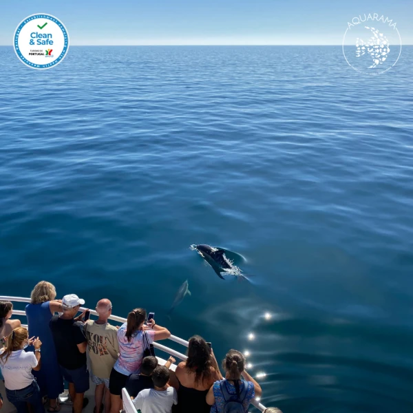 Passeios Diários - #aquaramasesimbra
