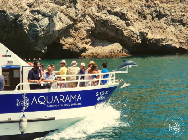 Daily Routes - #aquaramasesimbra