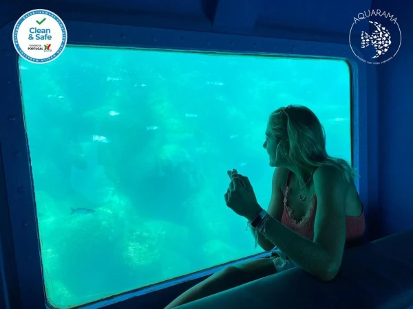 Apnea's hull - #aquarama
