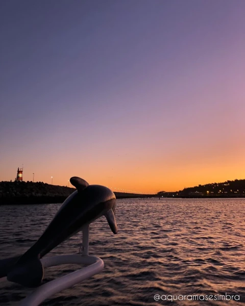Apnea's Dolphin - #aquarama