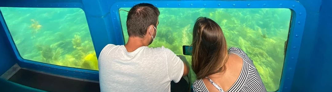 Transparent hull
